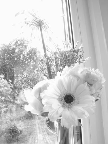janvier-2010 0114