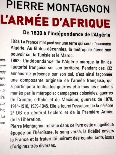 Armee-Afrique 7471