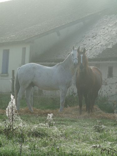 P1050865-1-.JPG