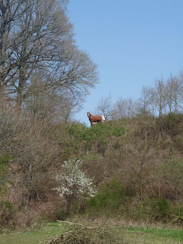 P1030311