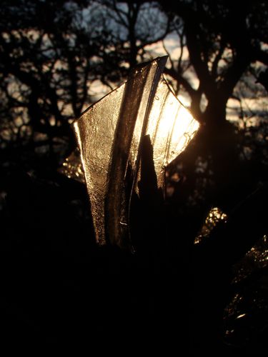 DSC02971