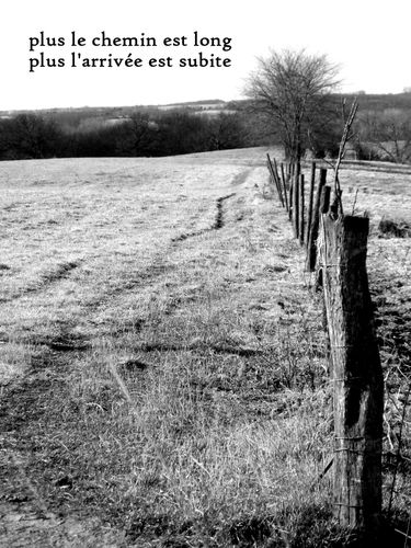 plus-le-chemin-est-long.jpg