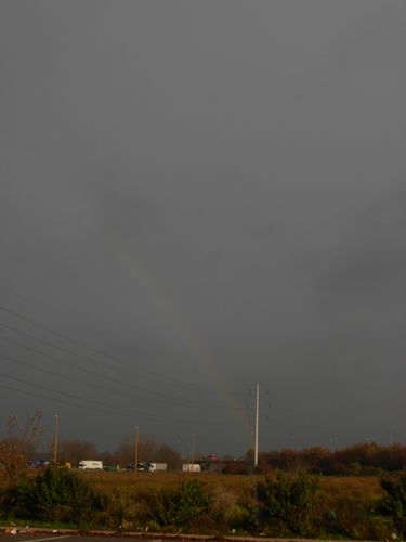 DSCN7472