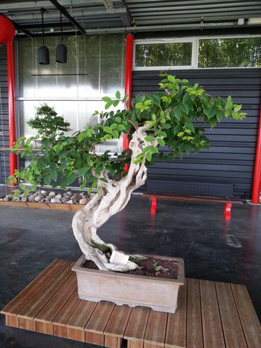 20120701_124234.jpg