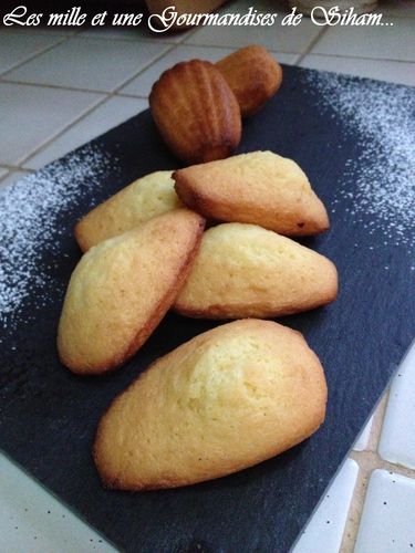 Photo 1019