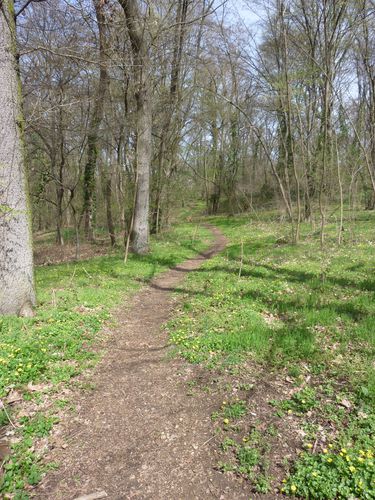UNE BOUCLE SUR LE 70 KM