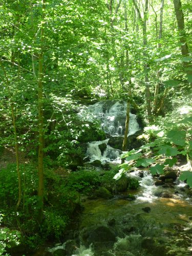 ESSERTINES EN CHATELNEUF