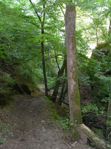 SENTIER-VERT.JPG