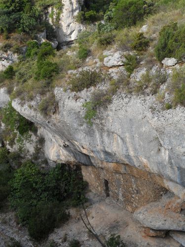 TROGLODYTHE.JPG