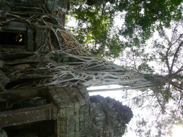 Angkor9 Vista Web grande