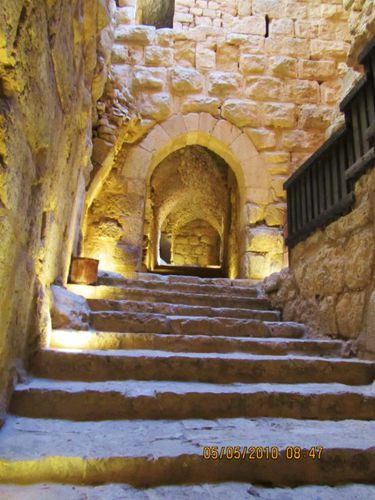 Jordania (Jerash, Ajloun)2