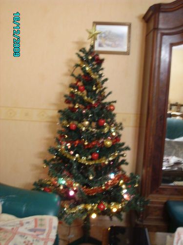 Sapin 2009 blog