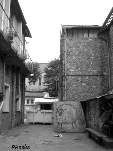 CIMG0027