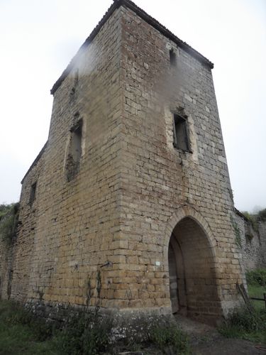 SDC10171