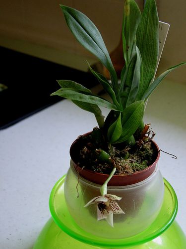 20030101_10.JPG