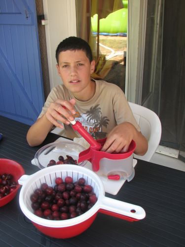 2010.07.26 Corentin dénoyaute prunes1