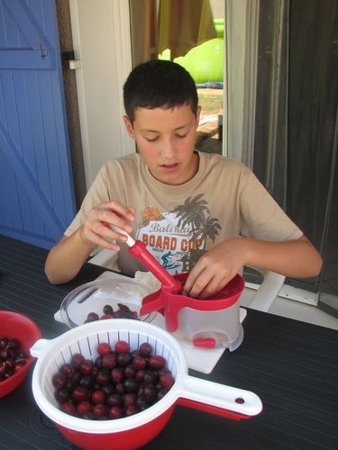 2010.07.26 Corentin dénoyaute prunes2