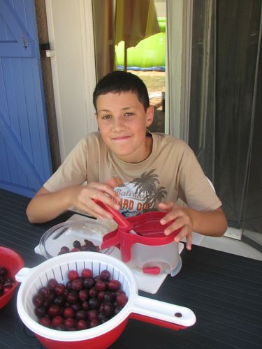 2010.07.26 Corentin dénoyaute prunes3