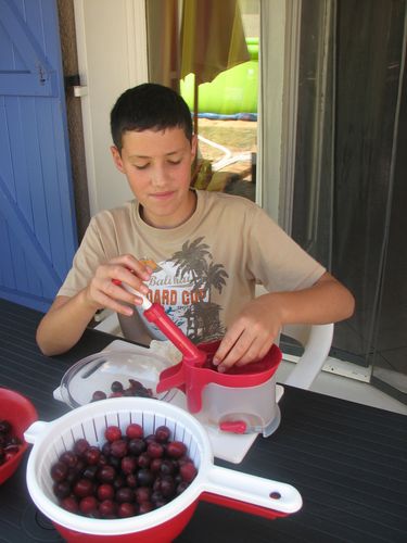 2010.07.26 Corentin dénoyaute prunes4