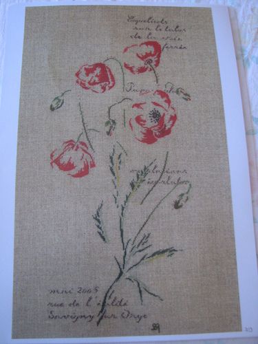 2011.05.28-MTSA-Les-coquelicots1.jpg