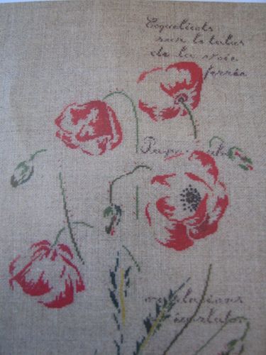 2011.05.28-MTSA-Les-coquelicots2.jpg