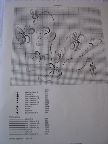 2011.05.28-MTSA-Viola-odorata.jpg