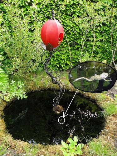 19 paradis de grenouille