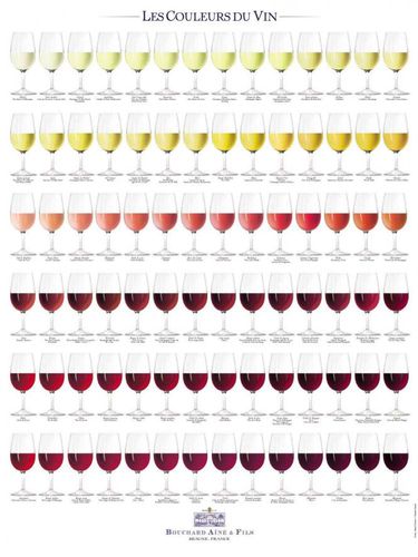 couleurs-vins.jpg