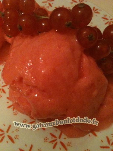 blogIMG 0368