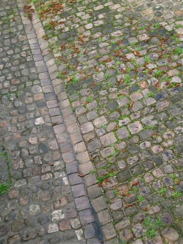 cour7390.jpg