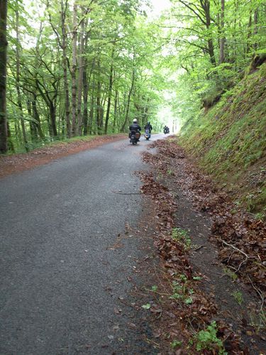 Photo0816
