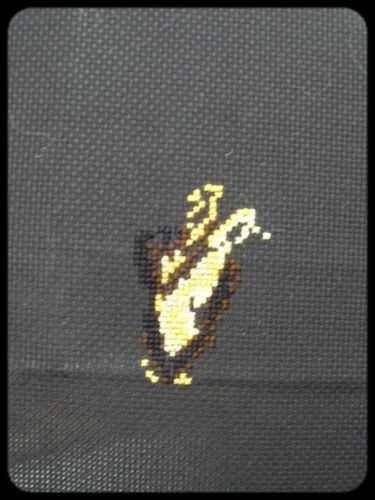 tigre-1.jpg
