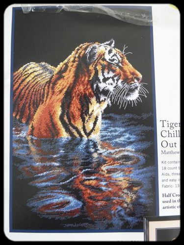tigre-se-rafraichissant.jpg