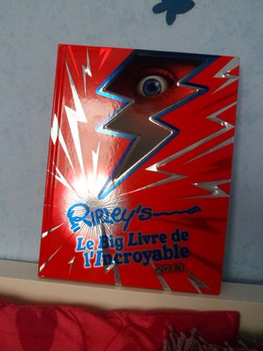 big-livre-incroyable-2013.JPG