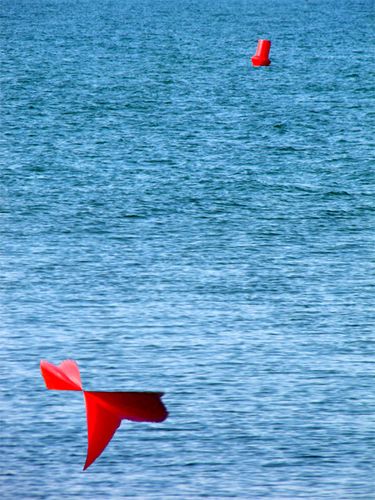 Bouee-rouge--Port-Camargue-.jpg