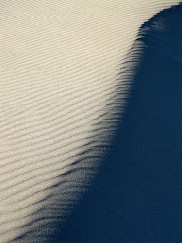 Dune--Espiguette----6.jpg