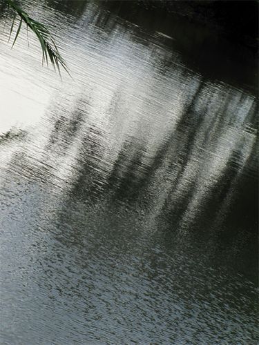Reflet-12--Saint-Just-.jpg