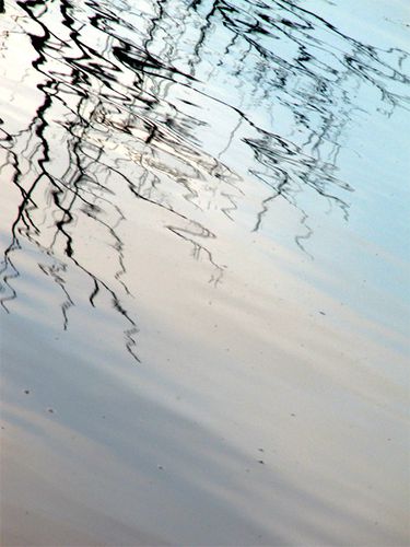 Reflet-4--Canal-de-Lunel-.jpg
