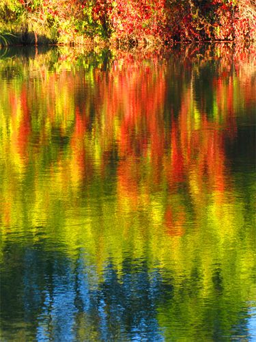 Berges-du-Vidourle-a-l-automne--Roque-d-Aubais-.jpg