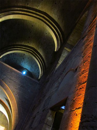 Cathedrale-de-Maguelone--2-.jpg