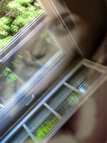 Reflet-de-fenetre-dans-photo-de-Joelle--1-.jpg