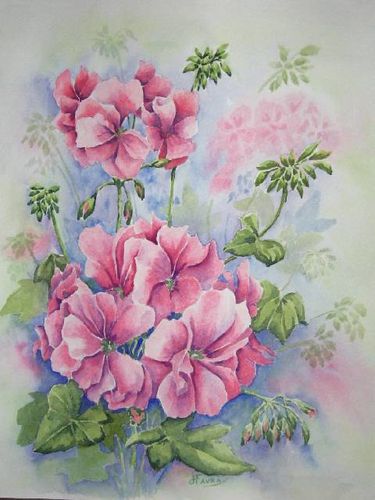 geranium rose, aquarelle