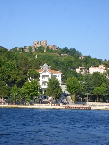 anadolukavak.JPG