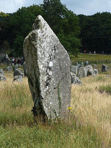 Alignements-de-Carnac--1-.jpg