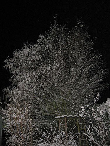 neige--2-.jpg