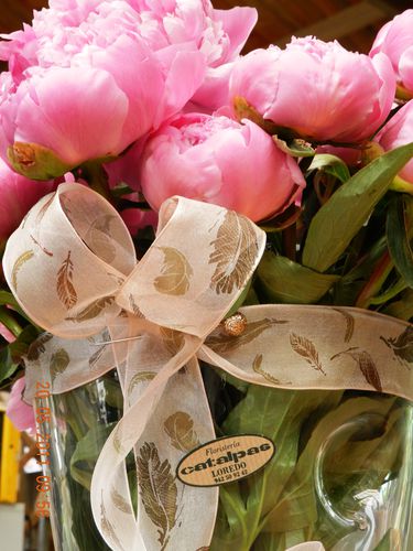 La peonia - flor cortada de mayo - El blog de catalpas