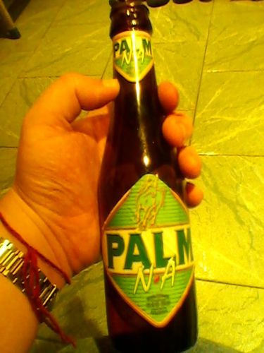 Palm-NA.jpg
