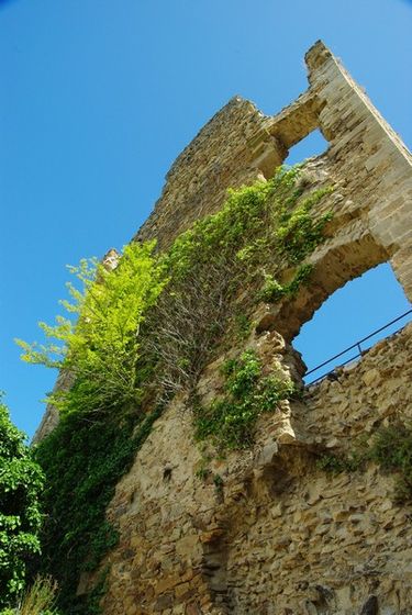 chateau de Saissac 62