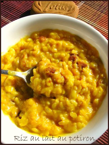 rice pudding 028