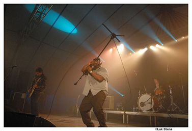 rootsroses2012-976.jpg
